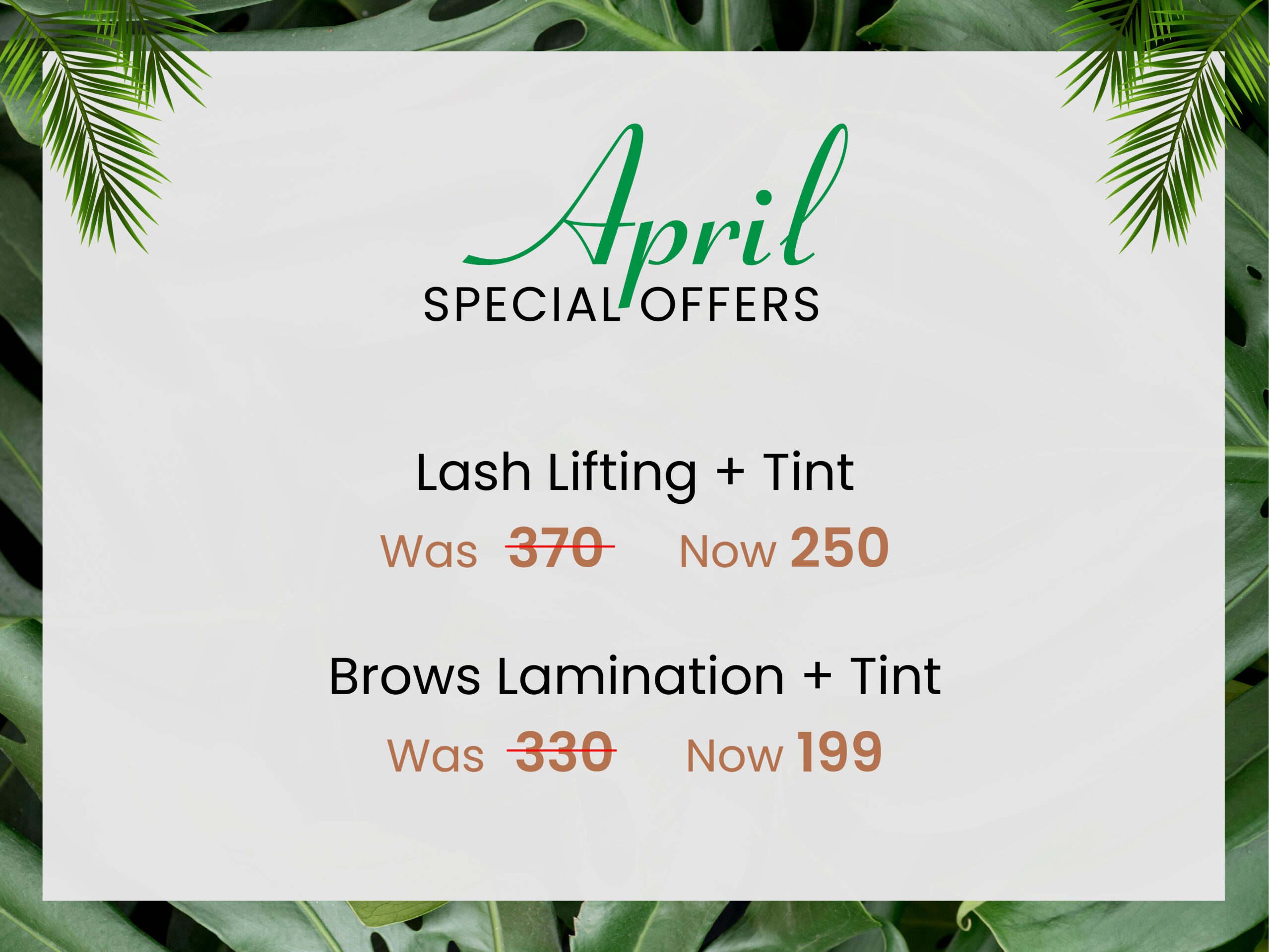 Monthly Offer