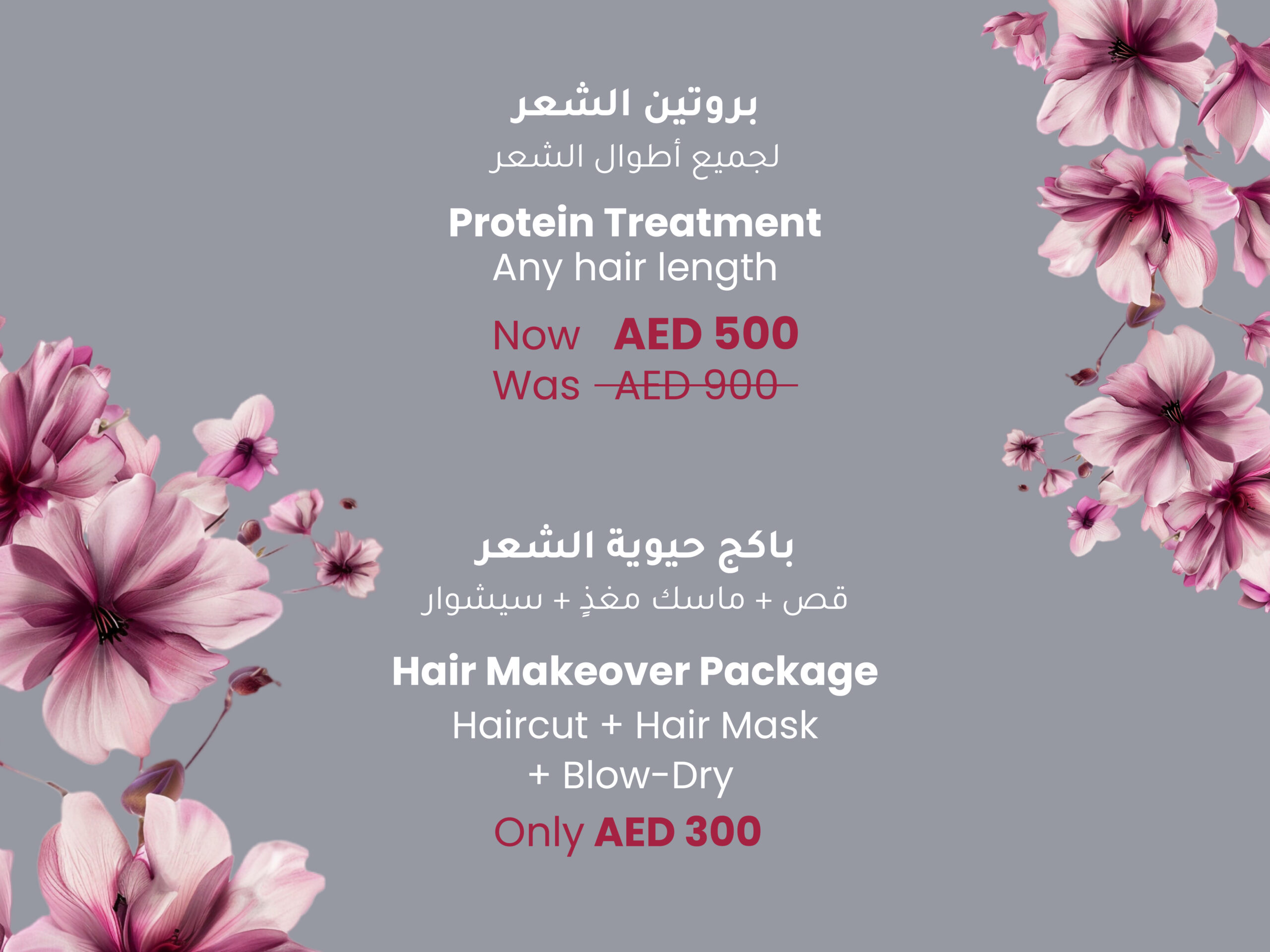 Monthly Offer