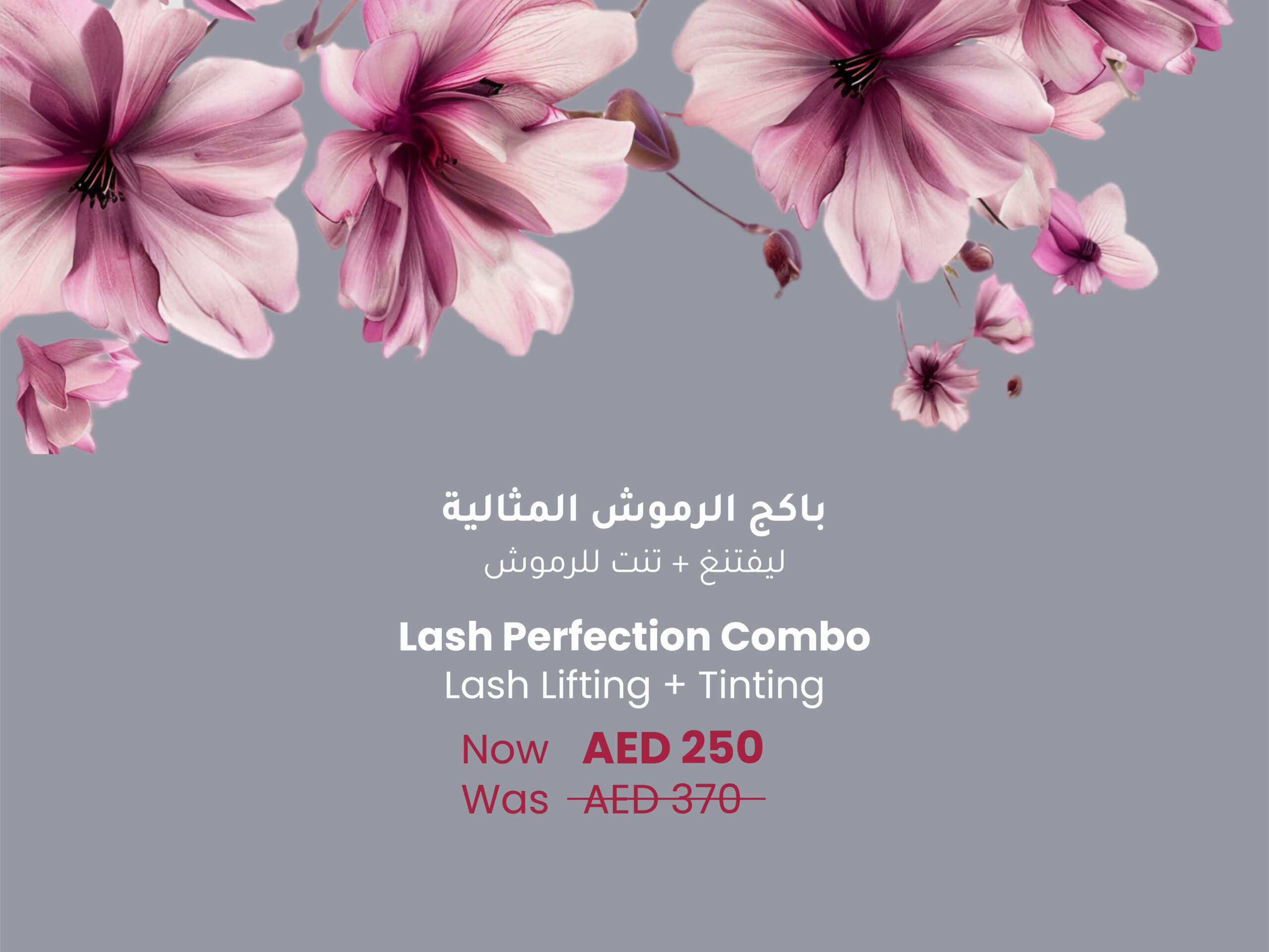 Monthly Offer